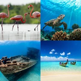 4 immagini 1 parola Rompicapo giornaliero Gennaio 30 2026