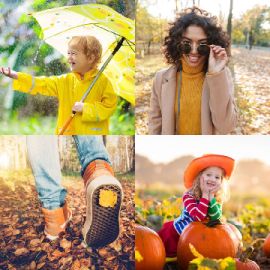 4 immagini 1 parola Novembre 26 2025 Puzzle bonus