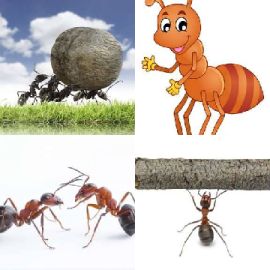 4 immagini 1 parola Luglio 18 2025 Puzzle bonus