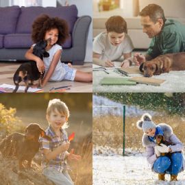 4 immagini 1 parola Rompicapo giornaliero Aprile 1 2026