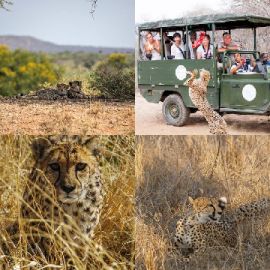 4 immagini 1 parola Gennaio 3 2026 Puzzle bonus