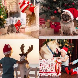 4 immagini 1 parola Rompicapo giornaliero Dicembre 24 2025