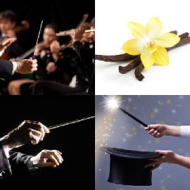 4 immagini 1 parola Dicembre 8 2025 Puzzle bonus