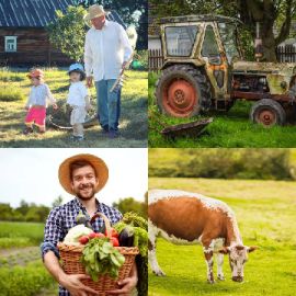 4 immagini 1 parola Dicembre 9 2025 Puzzle bonus