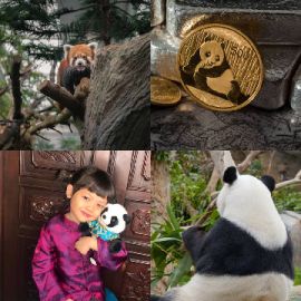 4 immagini 1 parola Dicembre 16 2025 Puzzle bonus