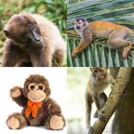 4 immagini 1 parola Dicembre 29 2025 Puzzle bonus