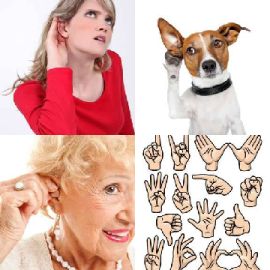 4 immagini 1 parola Rompicapo giornaliero Novembre 4 2025