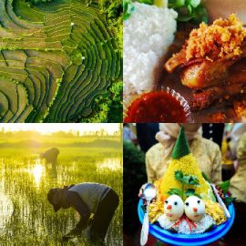 4 immagini 1 parola Rompicapo giornaliero Novembre 8 2025