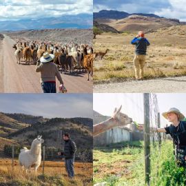 4 immagini 1 parola Rompicapo giornaliero Novembre 20 2025