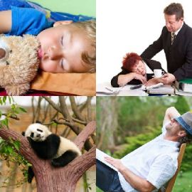 4 immagini 1 parola Rompicapo giornaliero Novembre 25 2025