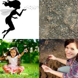 4 immagini 1 parola Rompicapo giornaliero Dicembre 17 2025