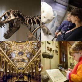 4 immagini 1 parola Rompicapo giornaliero Dicembre 27 2025