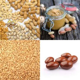 4 immagini 1 parola Rompicapo giornaliero Gennaio 15 2026