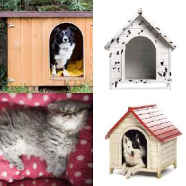 4 immagini 1 parola Rompicapo giornaliero Gennaio 23 2026