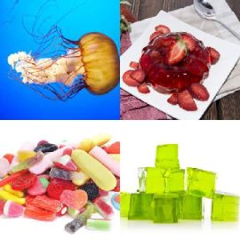 4 immagini 1 parola Rompicapo giornaliero Gennaio 25 2026