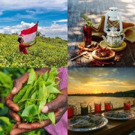 4 immagini 1 parola Rompicapo giornaliero Gennaio 26 2026