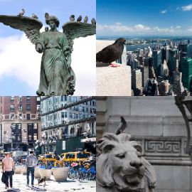 4 immagini 1 parola Gennaio 7 2026 Puzzle bonus