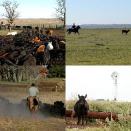 4 immagini 1 parola Gennaio 11 2026 Puzzle bonus