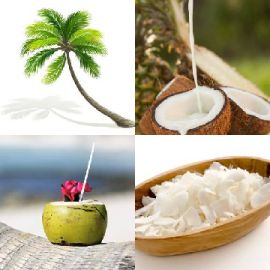 4 immagini 1 parola Rompicapo giornaliero Febbraio 12 2026