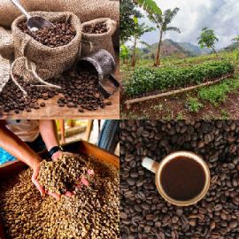 4 immagini 1 parola Rompicapo giornaliero Febbraio 17 2026