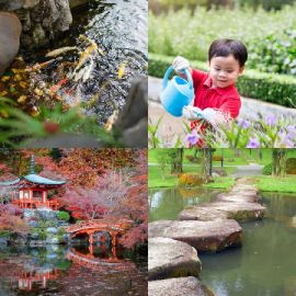 4 immagini 1 parola Rompicapo giornaliero Febbraio 19 2026