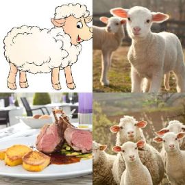 4 immagini 1 parola Febbraio 20 2026 Puzzle bonus