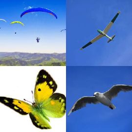 4 immagini 1 parola Rompicapo giornaliero Marzo 30 2026