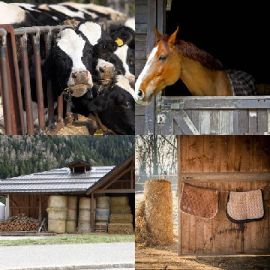 4 immagini 1 parola Marzo 5 2026 Puzzle bonus