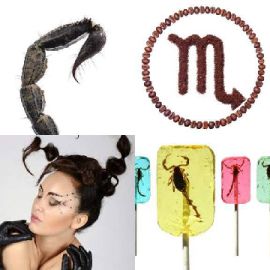 4 immagini 1 parola Rompicapo giornaliero Aprile 10 2026