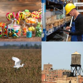 4 immagini 1 parola Rompicapo giornaliero Aprile 11 2026