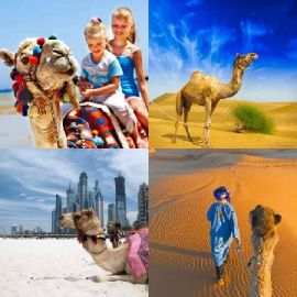 4 immagini 1 parola Rompicapo giornaliero Aprile 30 2026