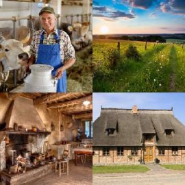 4 immagini 1 parola Aprile 5 2026 Puzzle bonus