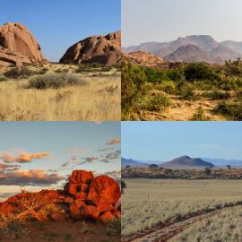 4 immagini 1 parola Aprile 17 2026 Puzzle bonus