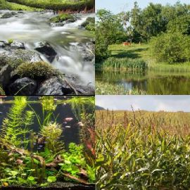 4 immagini 1 parola Aprile 26 2026 Puzzle bonus