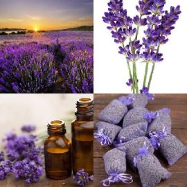 4 immagini 1 parola Rompicapo giornaliero Gennaio 29 2026