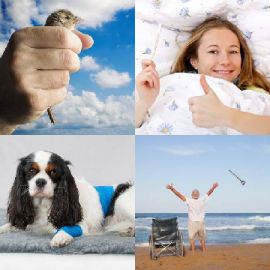 4 immagini 1 parola Rompicapo giornaliero Febbraio 16 2026