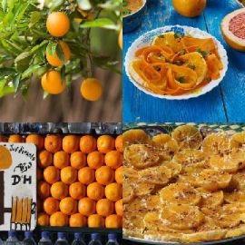 4 immagini 1 parola Rompicapo giornaliero Febbraio 25 2026