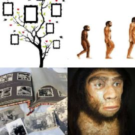 4 immagini 1 parola Settembre 7 2026 Puzzle bonus